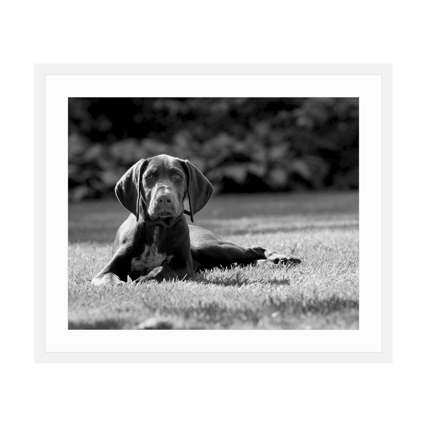 Porcelain Horizontal With Mat