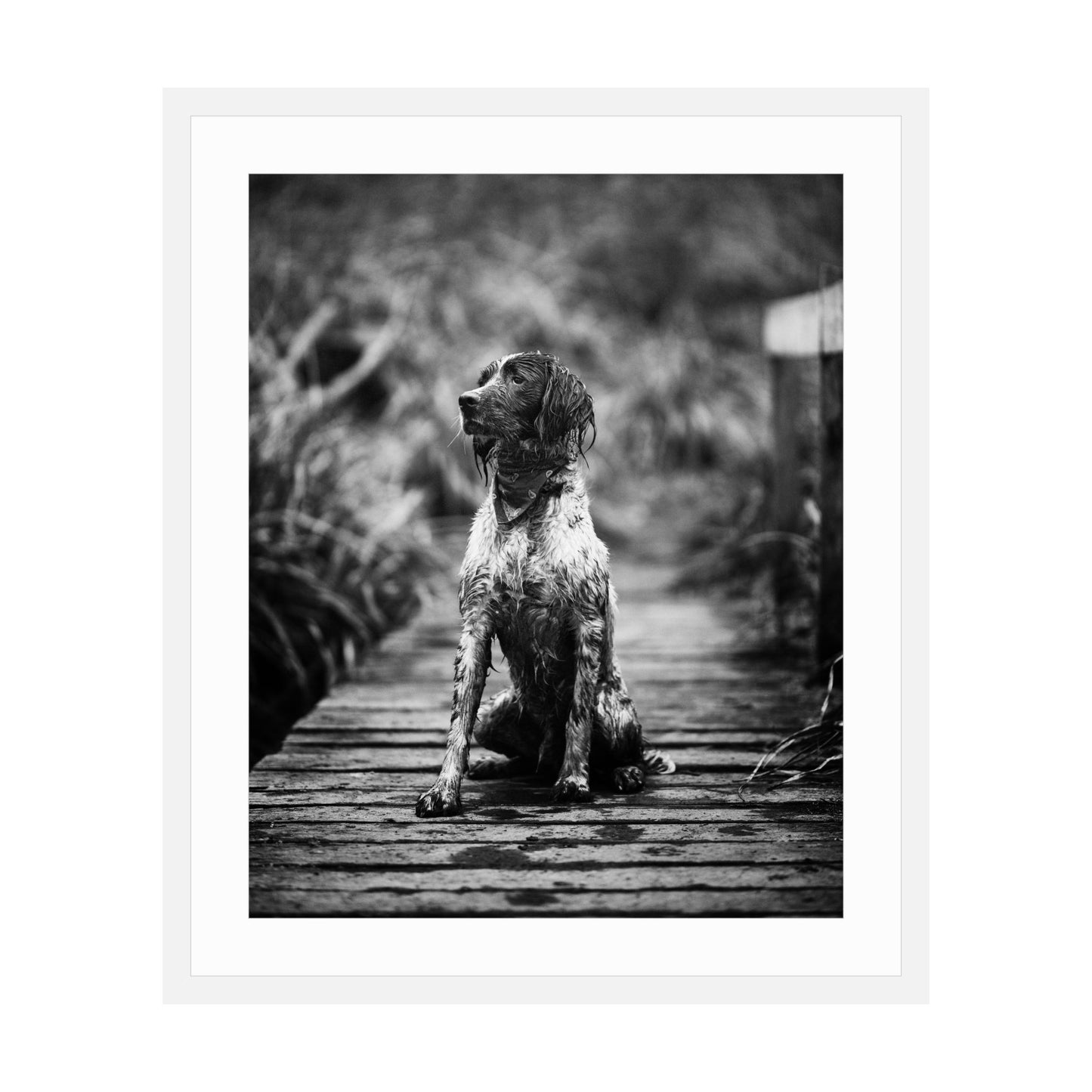 Porcelain Vertical With Mat