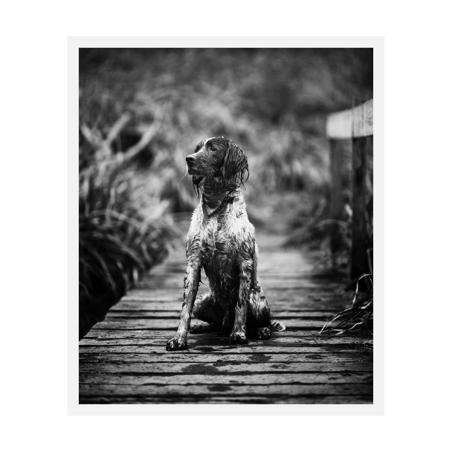 Porcelain Vertical Without Mat