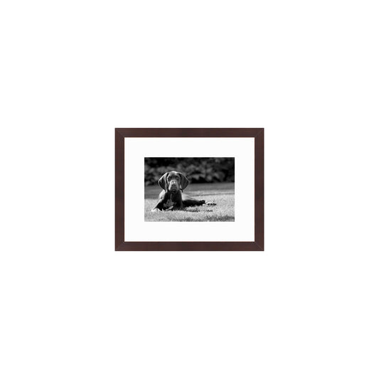 Cocoa Horizontal With Mat