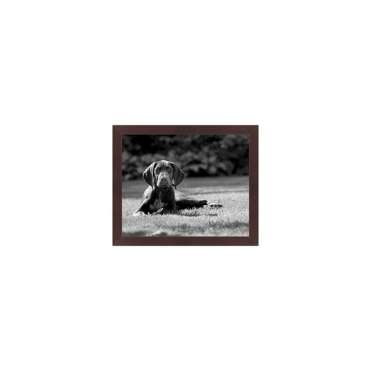Cocoa Horizontal Without Mat