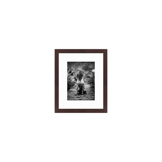 Cocoa Vertical With Mat