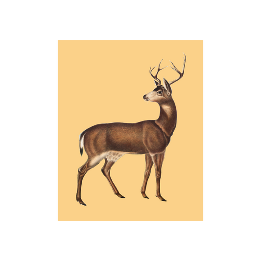 Deer on Yellow Art Print