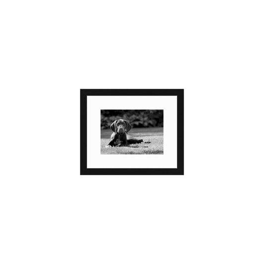 Piano Keys Horizontal With Mat