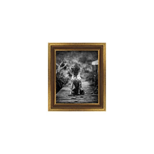 Victoria Vertical Without Mat
